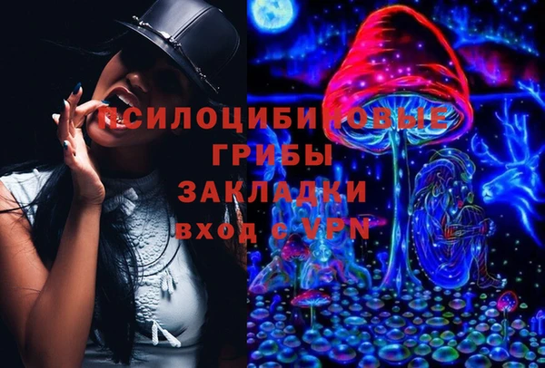 стаф Алексеевка